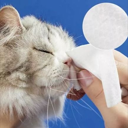 Pet Wipe Cloth ： Gadżety do higieny zwierząt domowych
