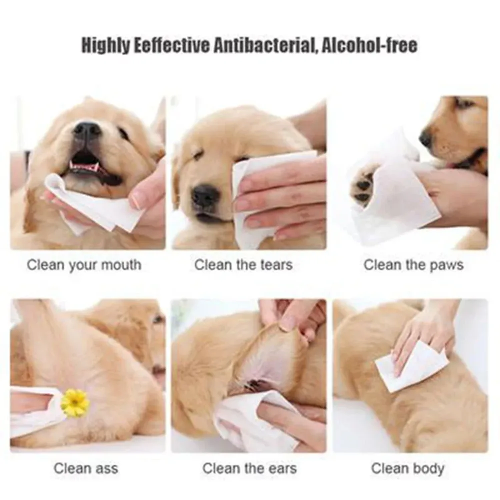 Dog Pet Wipes
